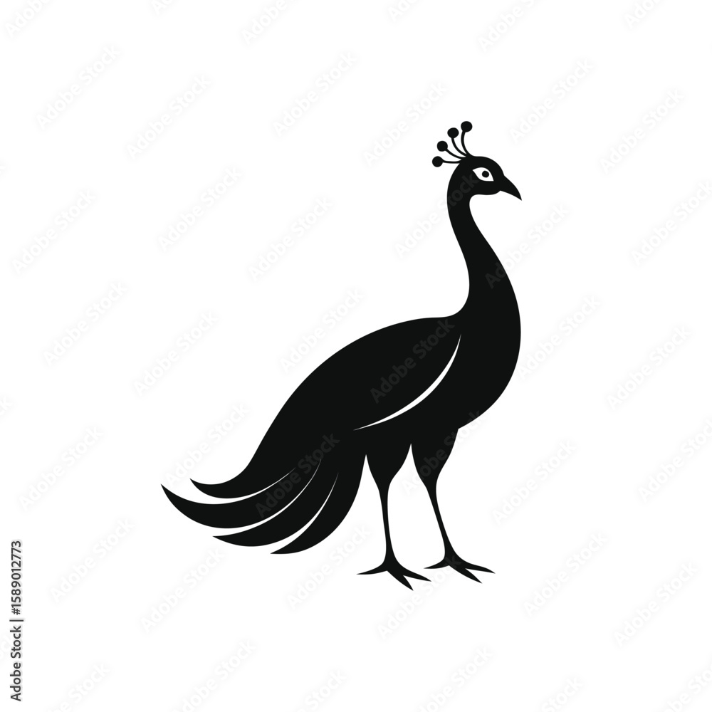 Fototapeta premium Elegant Black Peacock Silhouette – Side View 