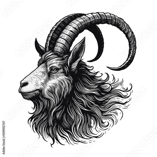 Goat profile with flowing mane in black and white illustration style