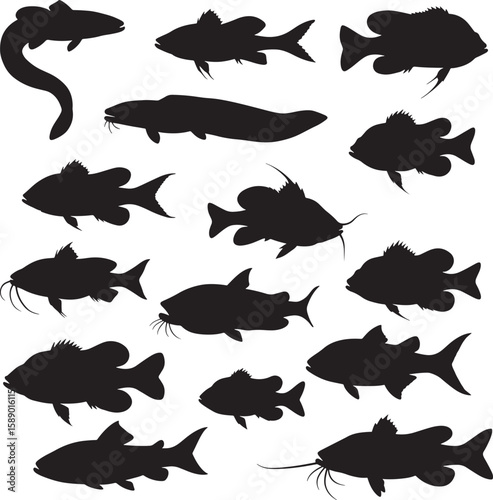 Various common freshwater fish silhouettes vector illustration