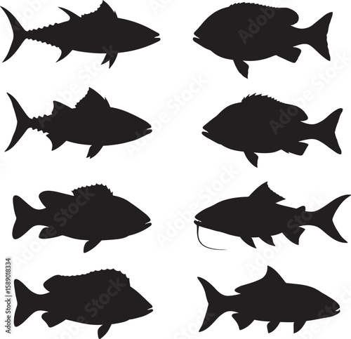 Tuna perch catfish various fish silhouettes vector illustration