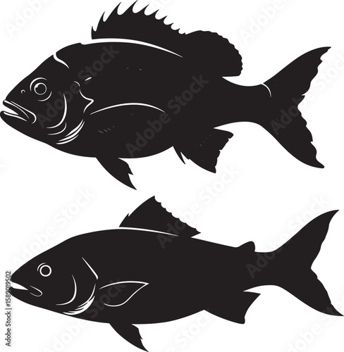 Two types of freshwater fish jumping silhouette vector illustration