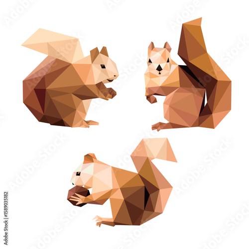 Squirrel Animal Set in low poly polygonal.  Eating Squirrel Icon in abstract set. Vector Illustration of Squirrel.