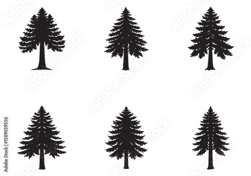 redwood tree icon silhouette vector illustration