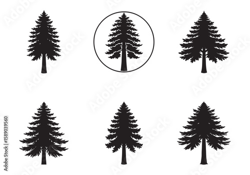 set of redwood tree icon silhouette vector illustration