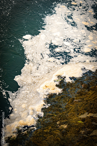 Fototapeta Naklejka Na Ścianę i Meble -  Foam forming on a body of water