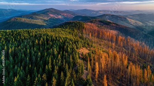 Vast Mountain Landscape with Dense Forests and Rolling Hills Under Clear Sky.