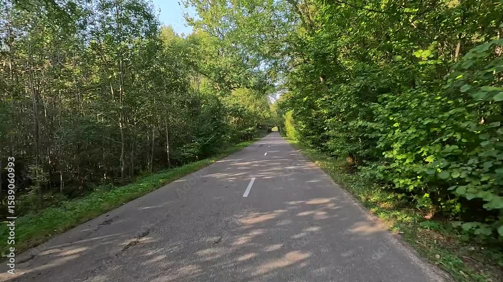 The car drives along the road on a summer day. Highways, roadside and road line markings. The car drives along the road on a summer day. Highways, roadside and road line markings.