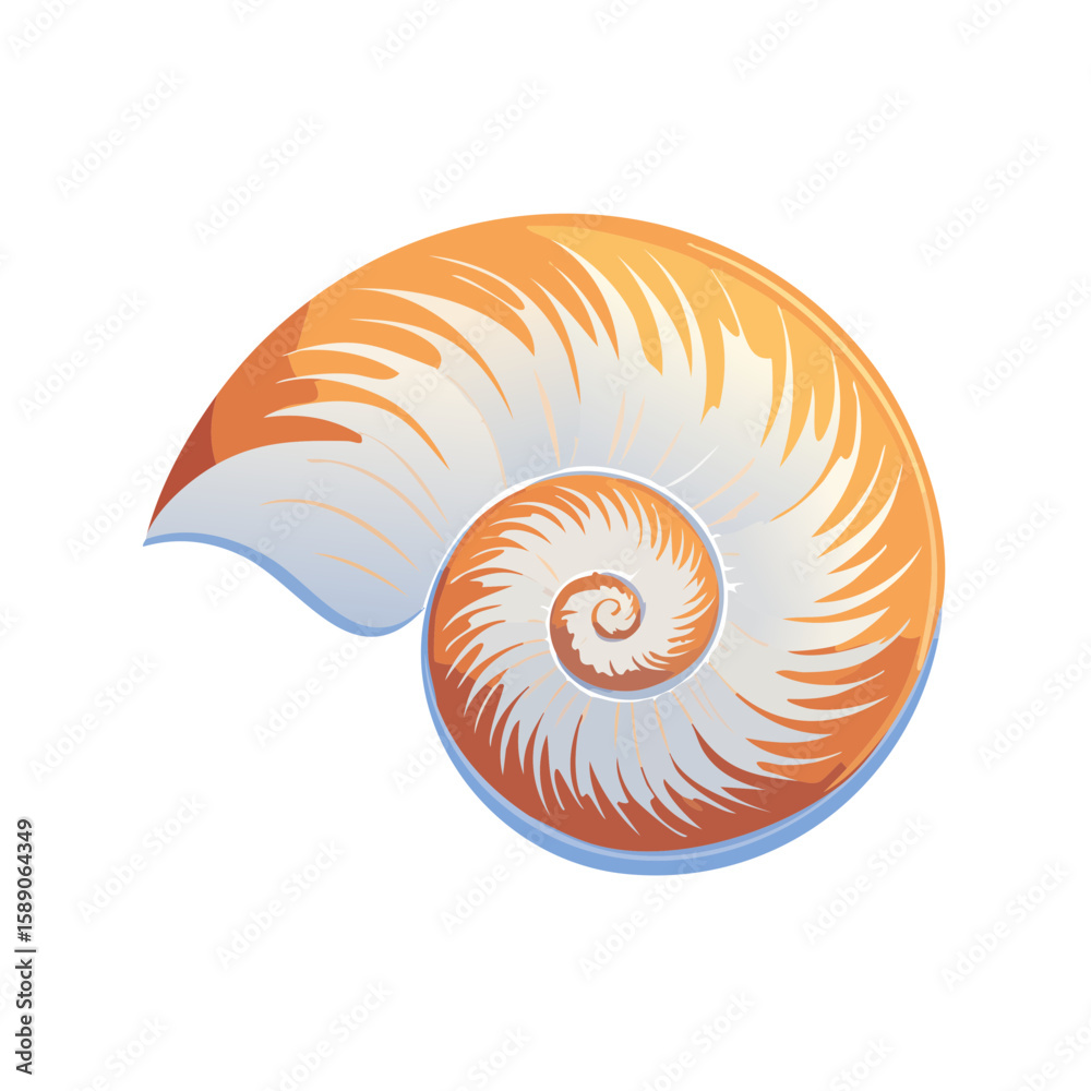 Obraz premium Elegant Vector Illustration of a Chambered Nautilus Shell with Detailed Spiral