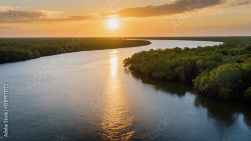 Wallpaper Mural A tranquil golden sunset illuminates a curving river meandering through lush mangrove forests, perfect for rivers day Torontodigital.ca
