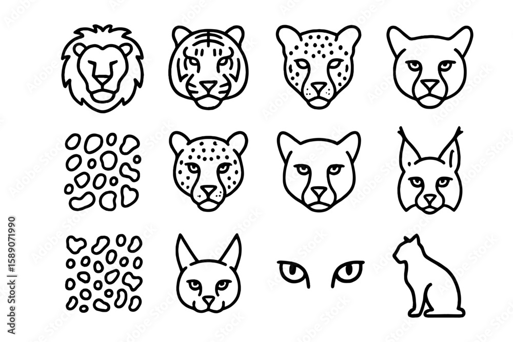 Fototapeta premium Outline drawings of wild cats and patterns on black background