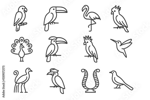 Bird outline icons set featuring flamingo, toucan, hummingbird, peacock