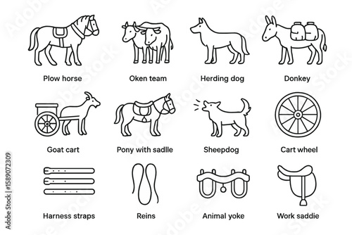 Farm animals and equipment icons: horse, dog, donkey, cart, saddle, reins