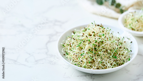 closeup heap of alfalfa sprout leaf in bowl on white food table background with copy space