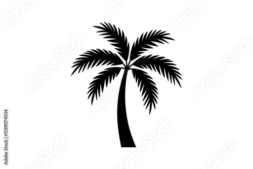 Silhouette of a single palm tree on white background