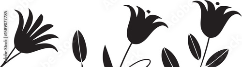 black and white flowers