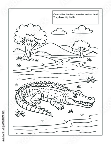  Reptiles coloring page- Crocodile. Coloring Book: A Fun Activity for Kids