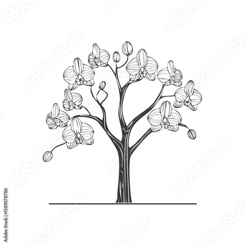 Elegant orchid tree silhouette against black background Botanical design with delicate flowers and branches Minimalist floral vector art