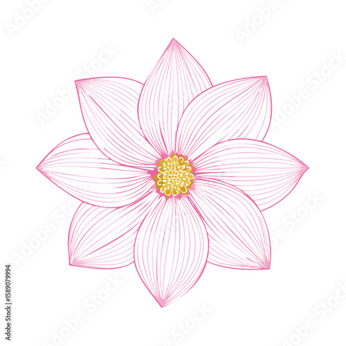 Elegant Pink Flower Illustration with Delicate Lines and Golden Center on Black Background