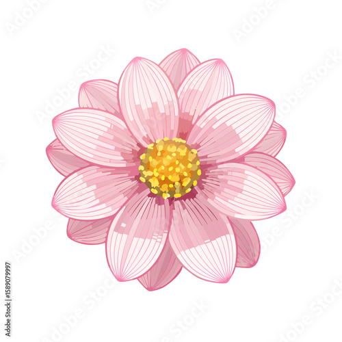 Isolated Pastel Pink Flower Illustration Against Black Backdrop Beautiful Petals and Yellow Pollen