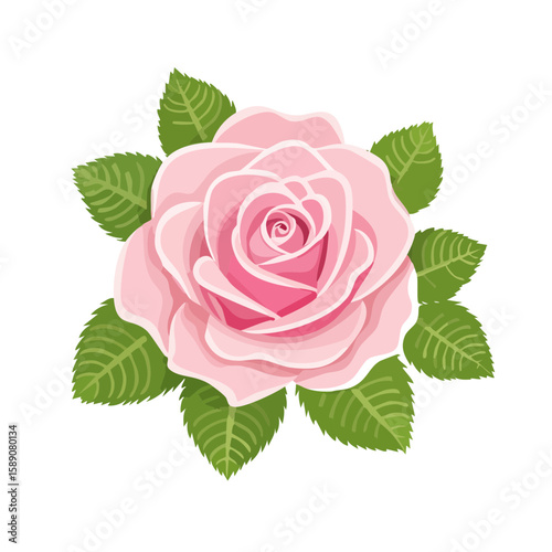 Elegant Pink Rose with Green Leaves on Black Background for Floral Designs