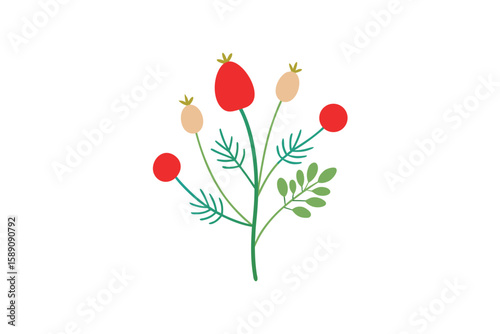 Watercolor Rosehips And Dill Flower Heads Composite
