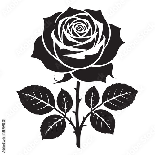 Elegant black silhouette of a rose with leaves and thorns on white background