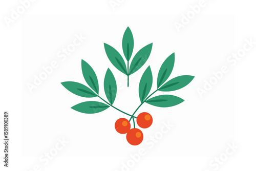 Mountain Ash Berries With Artistic Sagebrush Leaves
