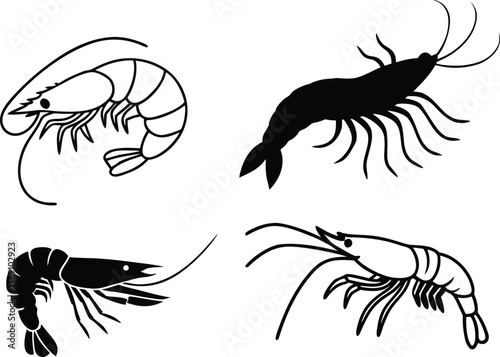 shrimp vector illustration.
