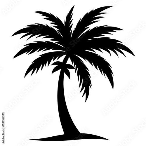 silhouette of palm tree