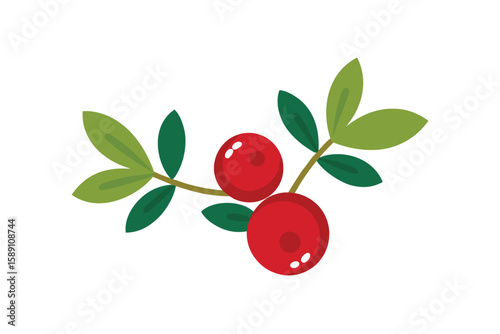 Artistic Cranberries And Sage Branches Hand Painted