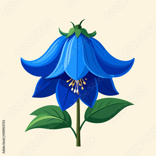 Elegant vector illustration of a Campanula flower, showcasing its deep blue petals, green leaves, and delicate stamen against a soft cream background.