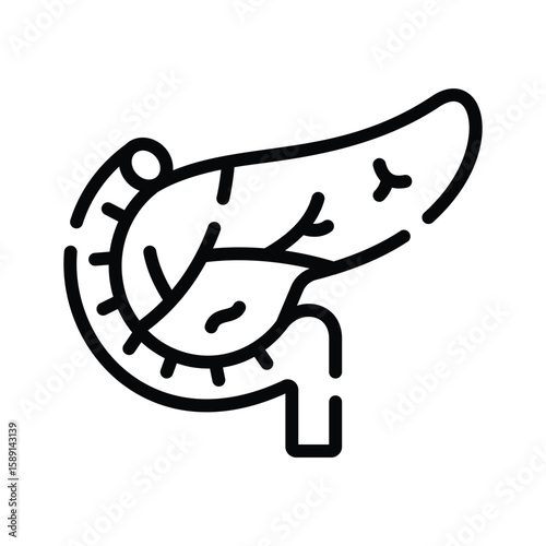 A modern outline icon of pancreas internal organ