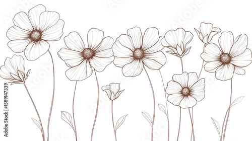 Elegant outline flowers design