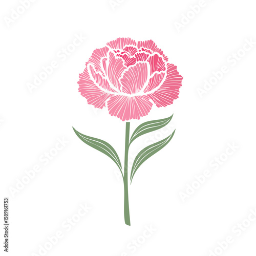Pink carnation flower illustration on black background single floral art with stem and leaves delicate botanical design drawing