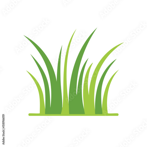 Illustration of Green Grass Blades Against Black Backdrop, Lawn Foliage