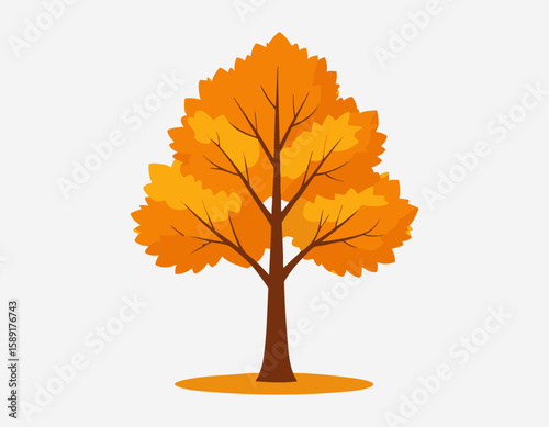Autumn Tree with Orange Foliage on White Background