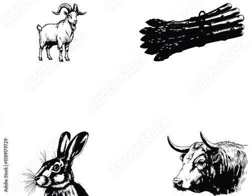 Vector art of a goat stands near asparagus, with a rabbit and bulls head sketches