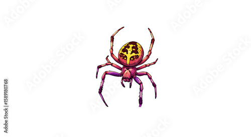 Colorful Cartoon Spider Illustration on Black Background png, isolated on tranparent background
