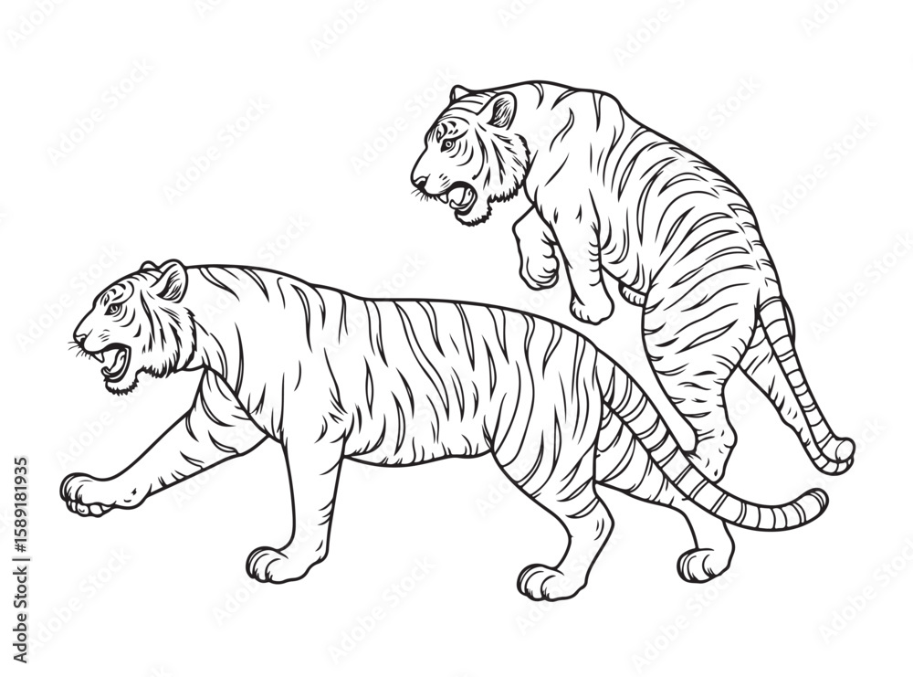 Naklejka premium Tiger Illustration Pack – Monochrome Wildlife Line Art on White Background