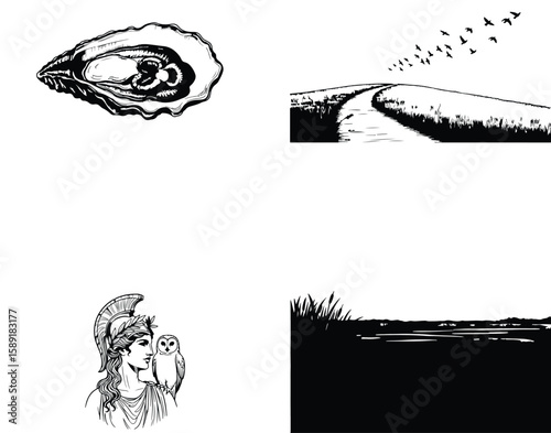 Vector art of an open oyster shell with intricate details, presented as a black and white illustration