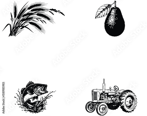 Vector art of wheat stalks sway in the field near a pear, a jumping bass, and a tractor