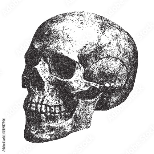 Photocopy effect of a human skull with grain effect. Scary skull in stipplism effect for Halloween. Frightening Halloween night