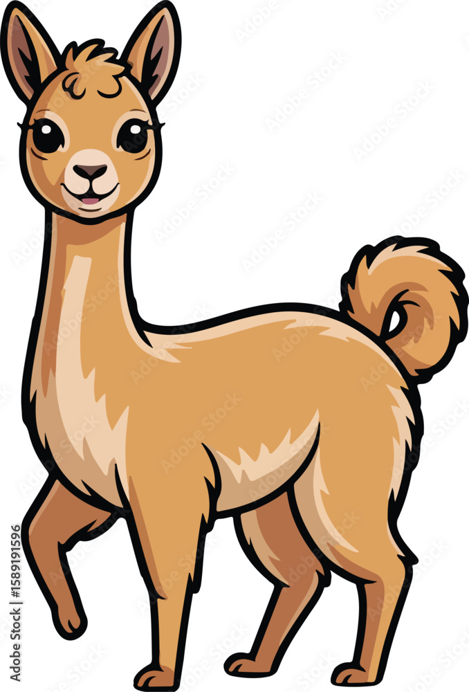Fototapeta premium Vicuna with a gentle and curious personality
