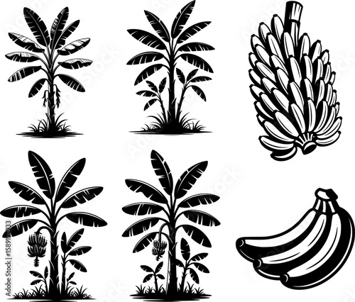 Bold black silhouette set of banana plants with detailed leaves and bunches, ideal for tropical designs, patterns, and educational materials