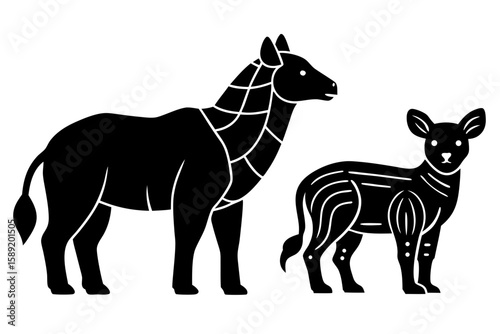 zebra vector illustration