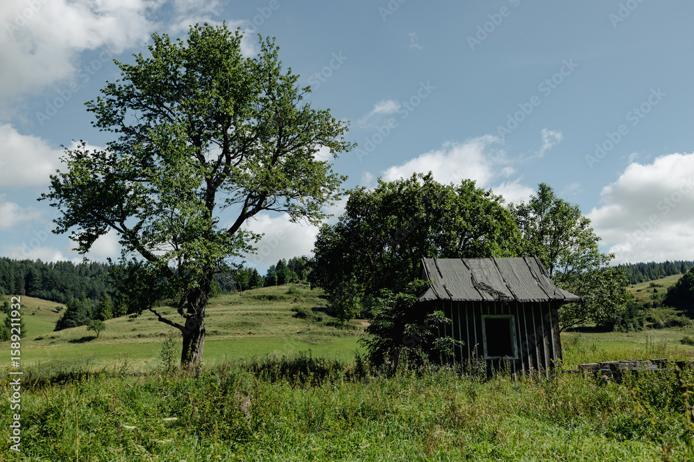 Obraz premium Scenic countryside view featuring an old wooden cabin surrounded by trees, grassy meadows, and distant hills under a blue sky. Perfect for concepts like simplicity, solitude, sustainable living, and