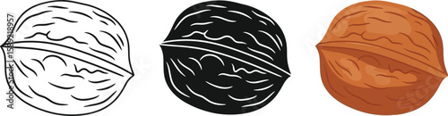 Three walnut illustrations showcase a progression from line art to silhouette to full color, ideal for designs related to food, nutrition, healthy eating, and educational materials.