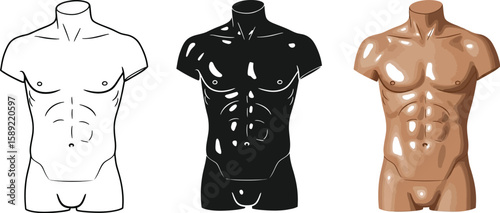 Three stylized male torso illustrations showcase anatomical variations in line art, silhouette, and realistic skin tone, ideal for design, fashion, or medical educational resources.