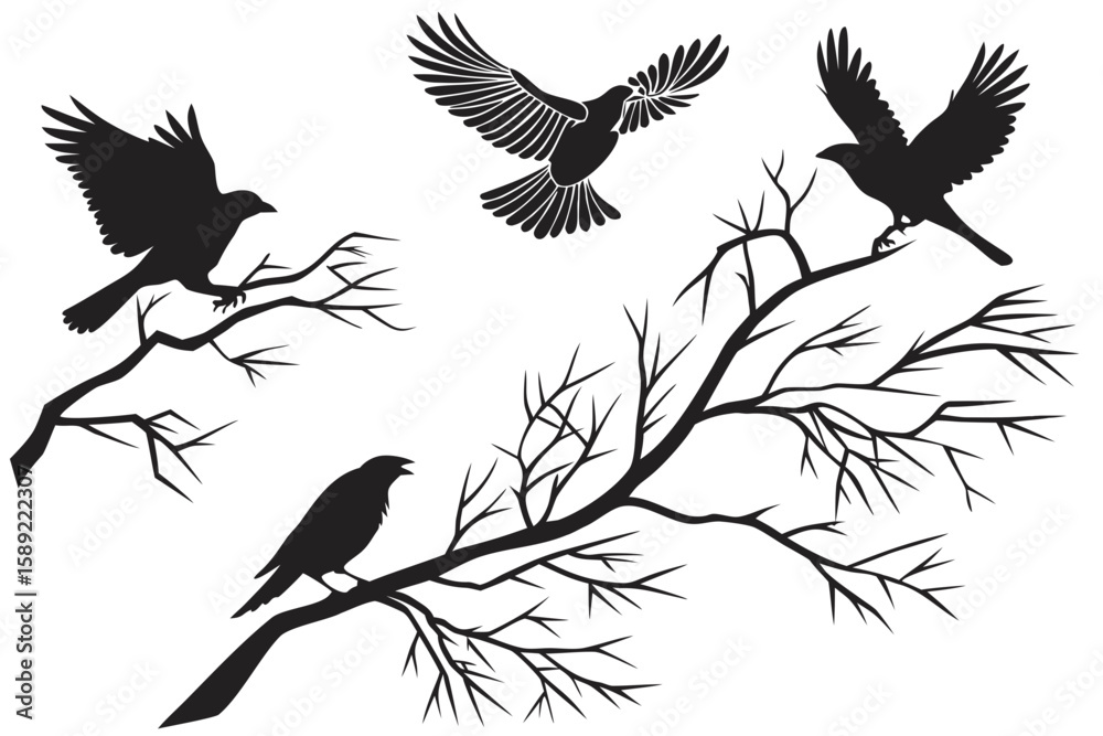 Obraz premium Black silhouette birds on bare branches tree