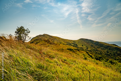 Fototapeta Naklejka Na Ścianę i Meble -  The Bieszczady Mountains, Carpathians, Poland.